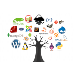 Installazione Sito Web